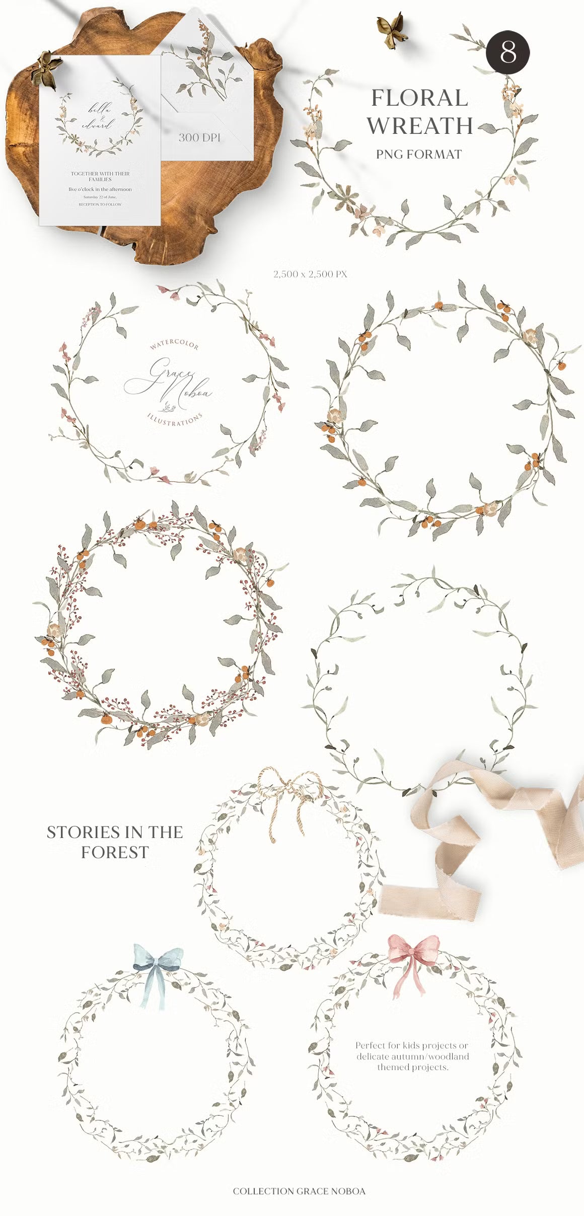 Stories in the Forest Woodland creatures illustrations