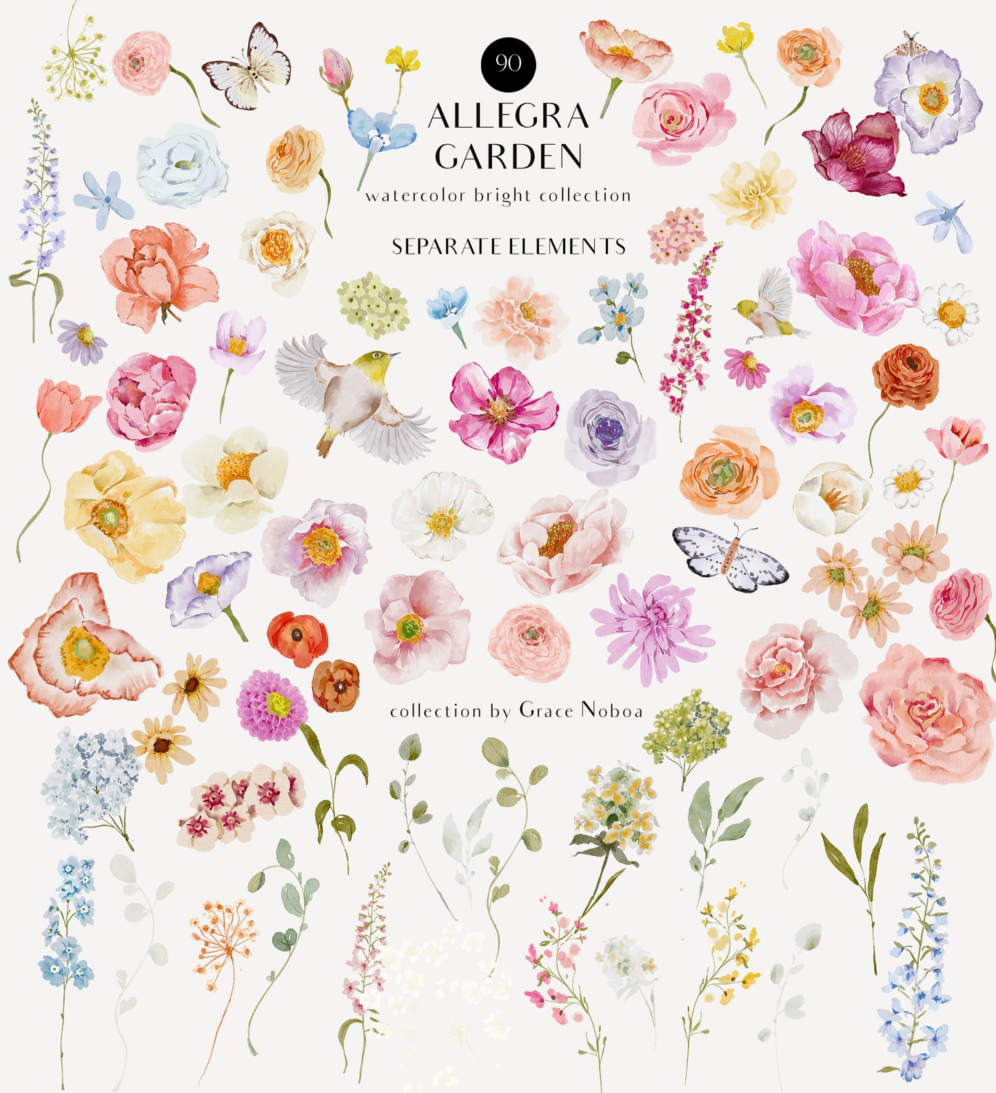 Spring Summer Watercolor Flowers set