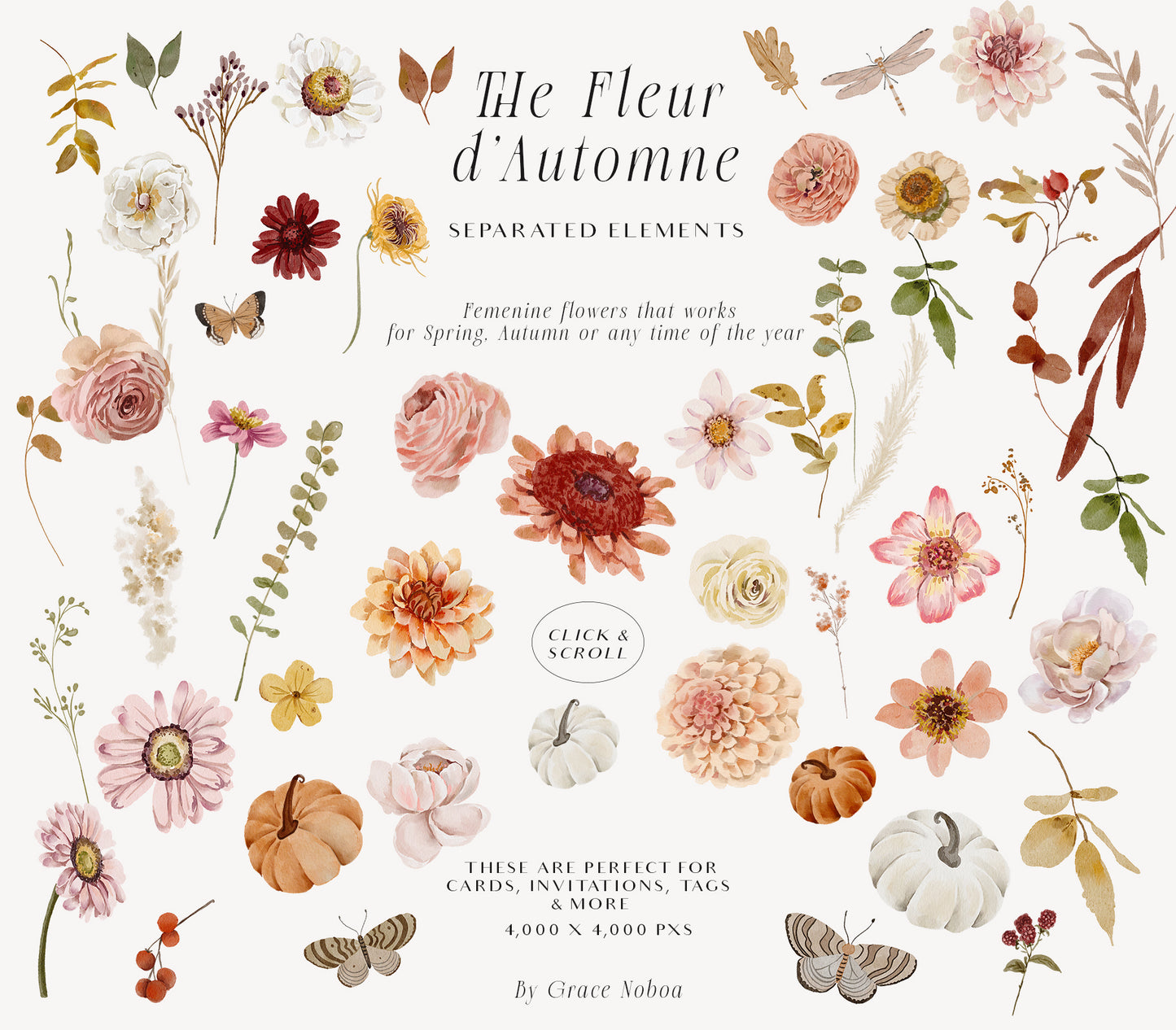 Watercolor Autumn fall flowers clipart