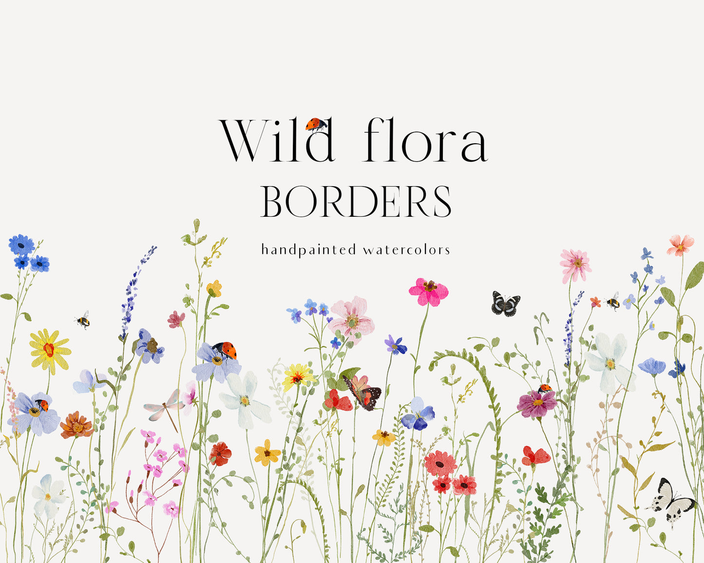 Watercolor Bright wildflowers fields colorful flowers clipart