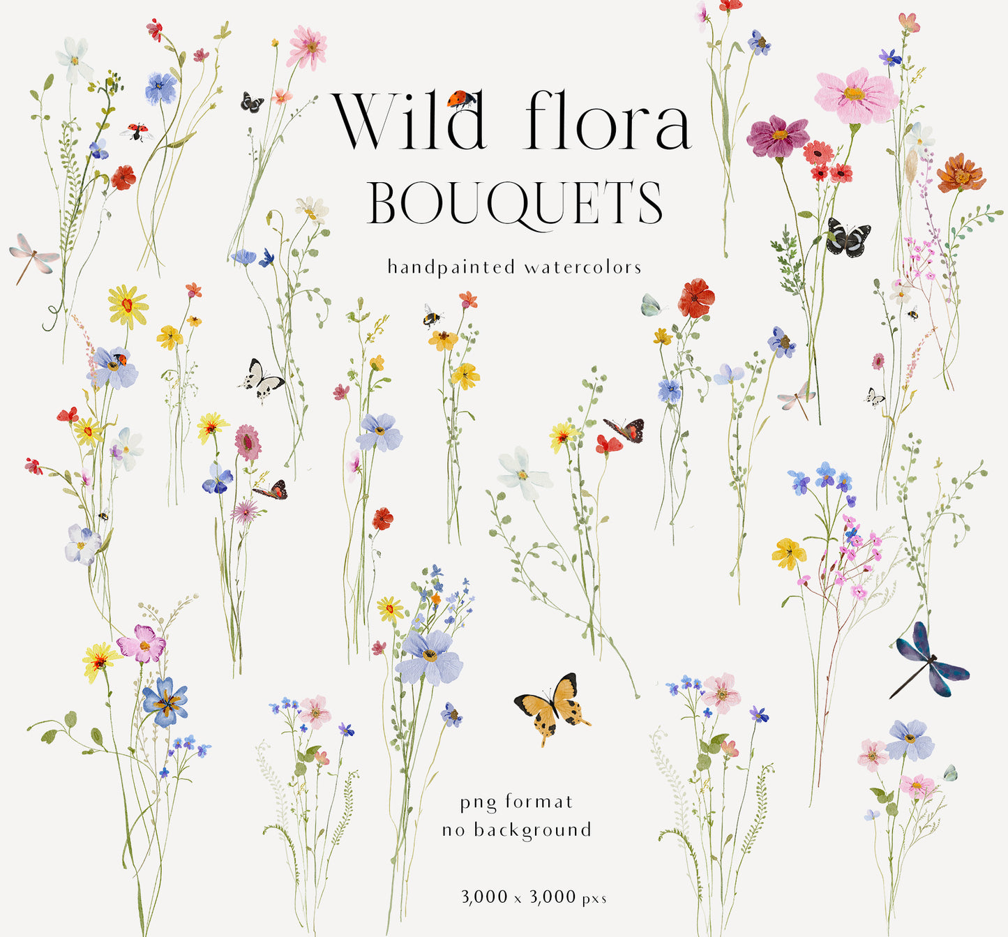 Watercolor Bright wildflowers fields colorful flowers clipart