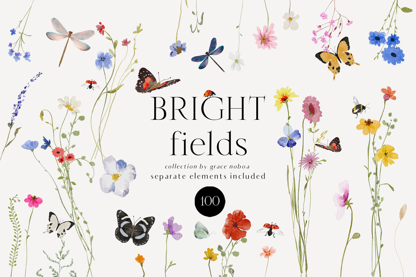 Watercolor Bright wildflowers fields colorful flowers clipart