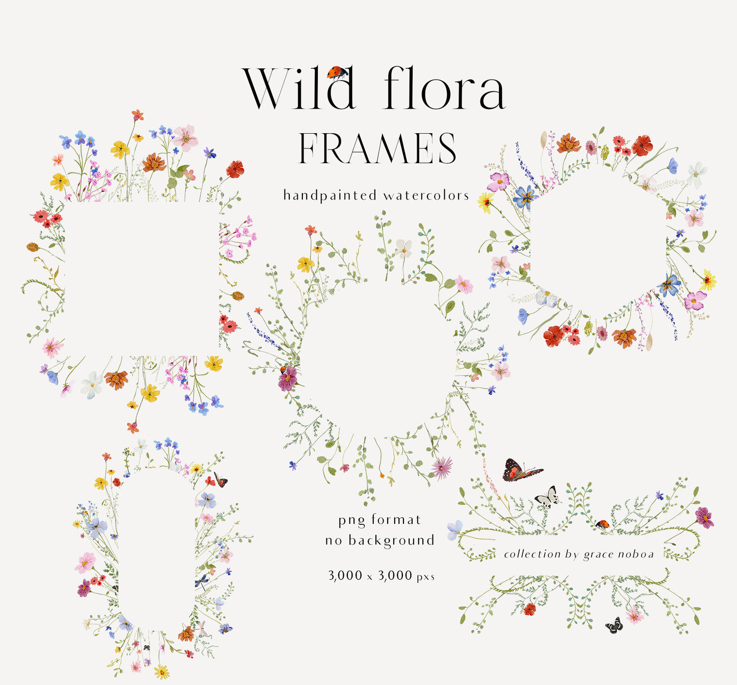 Watercolor Bright wildflowers fields colorful flowers clipart