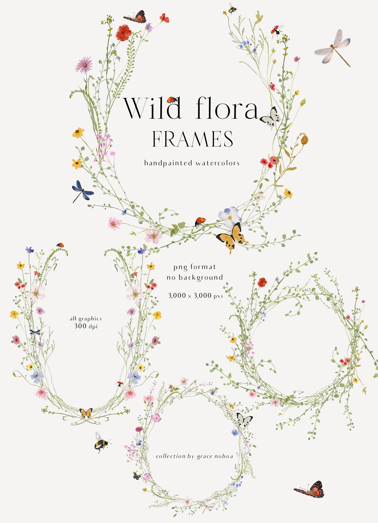 Watercolor Bright wildflowers fields colorful flowers clipart