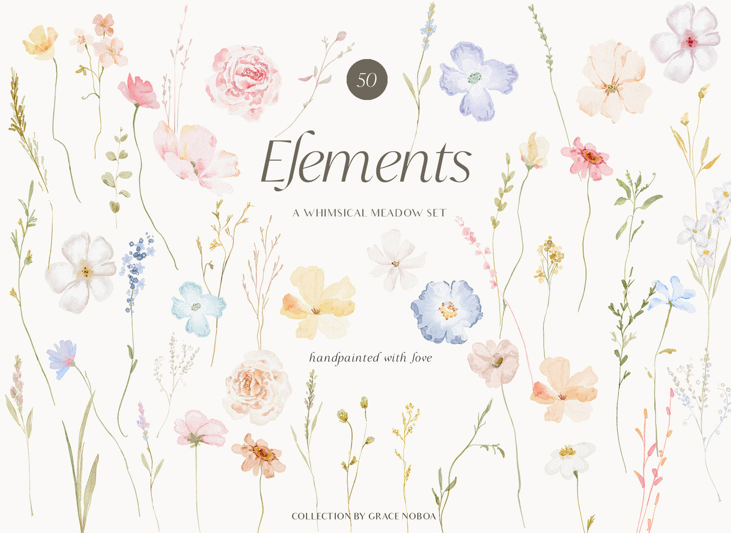 Watercolor dreamy Wildflowers Set