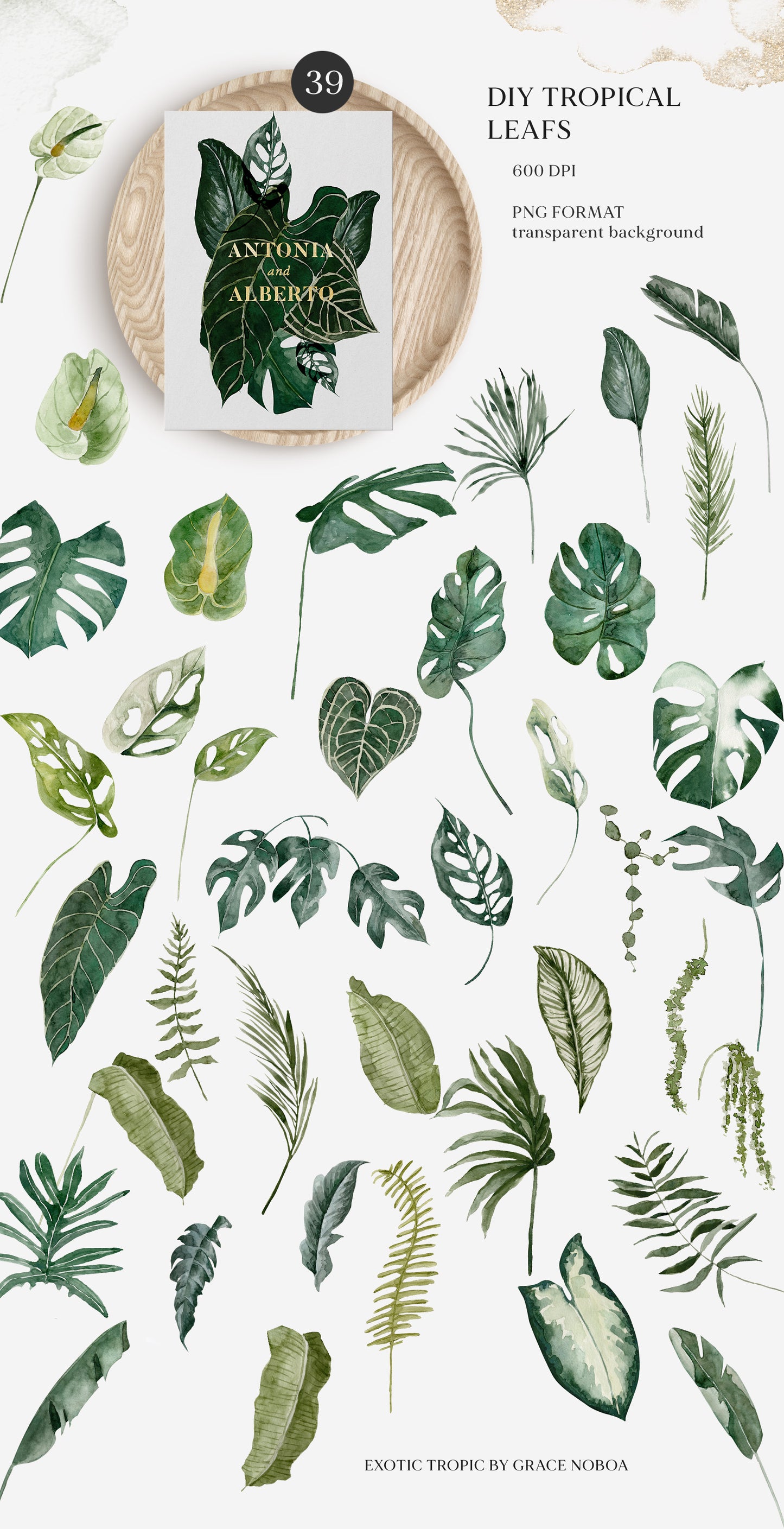 Exotic Greenery tropical foliage set