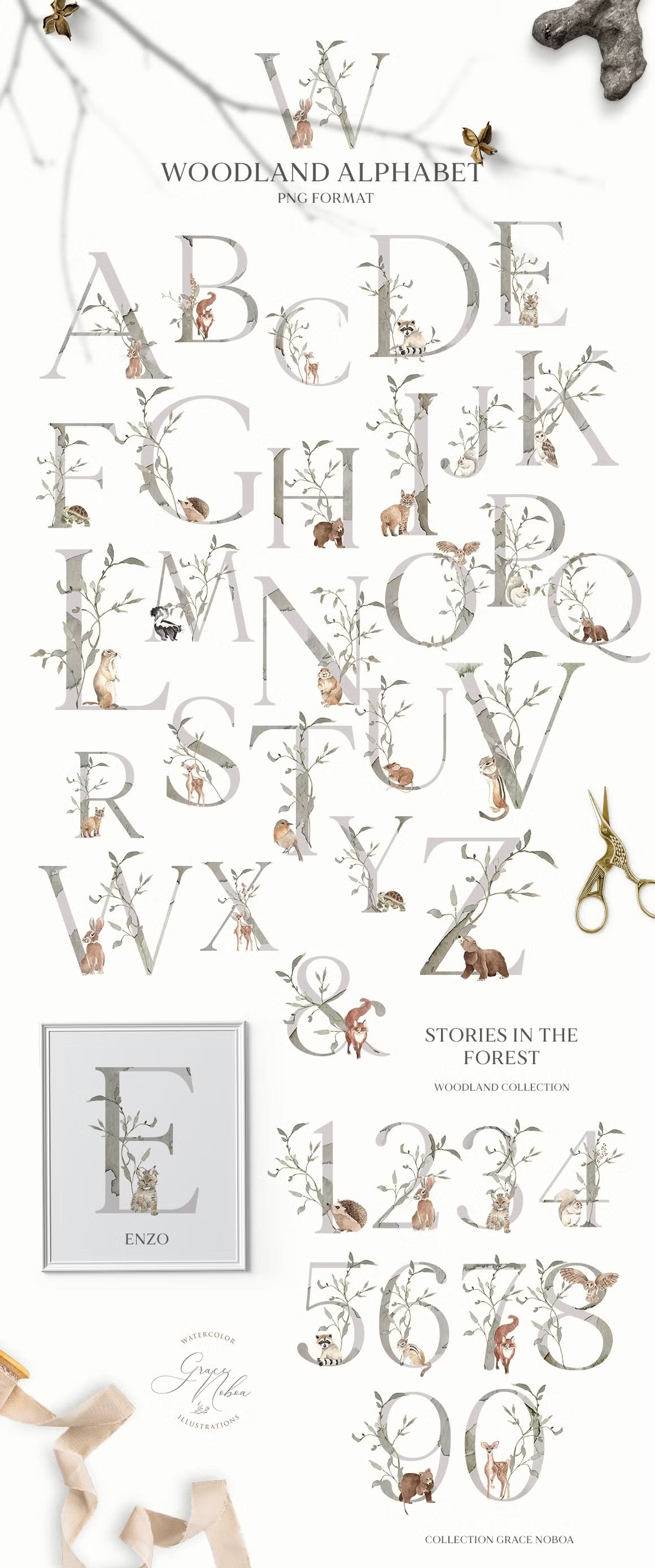 Stories in the Forest Woodland creatures illustrations