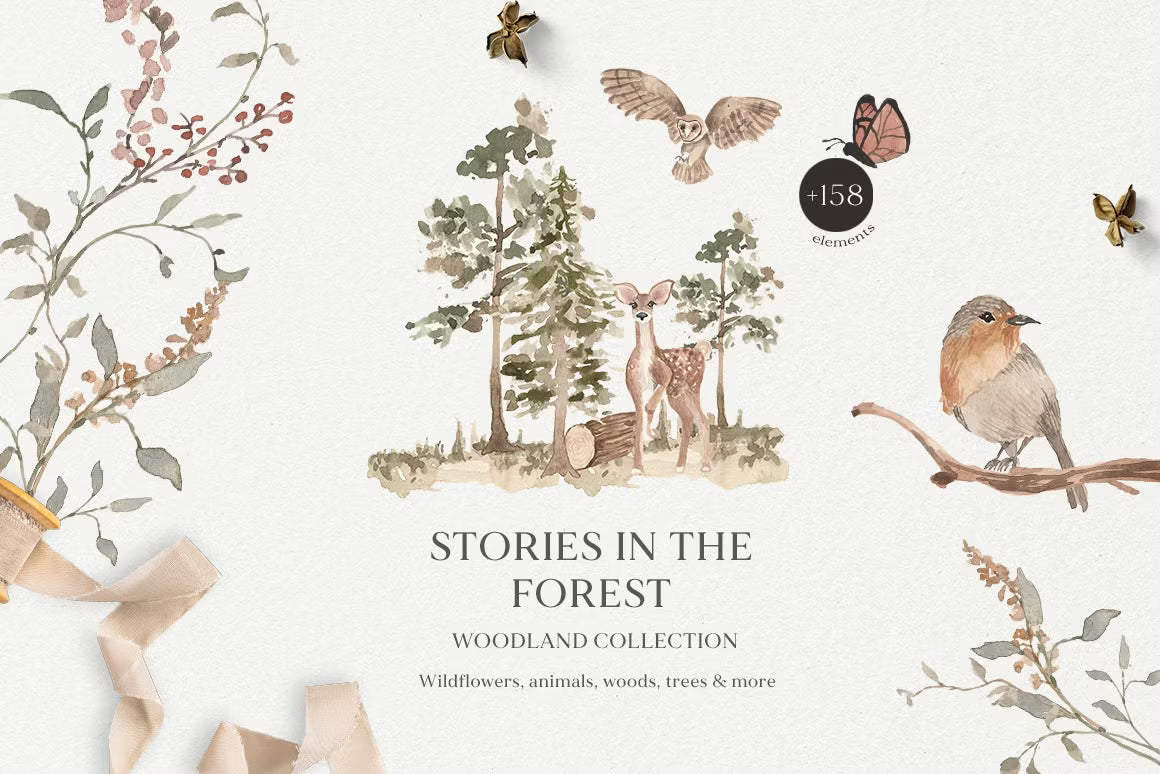 Stories in the Forest Woodland creatures illustrations