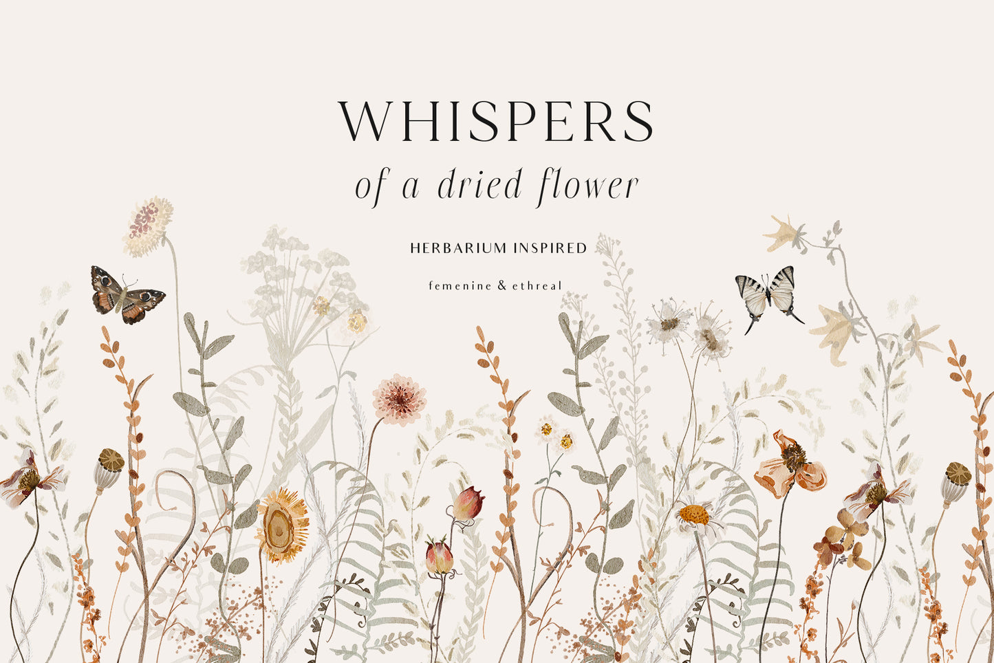 Wildflowers dried flowers watercolor floral clipart