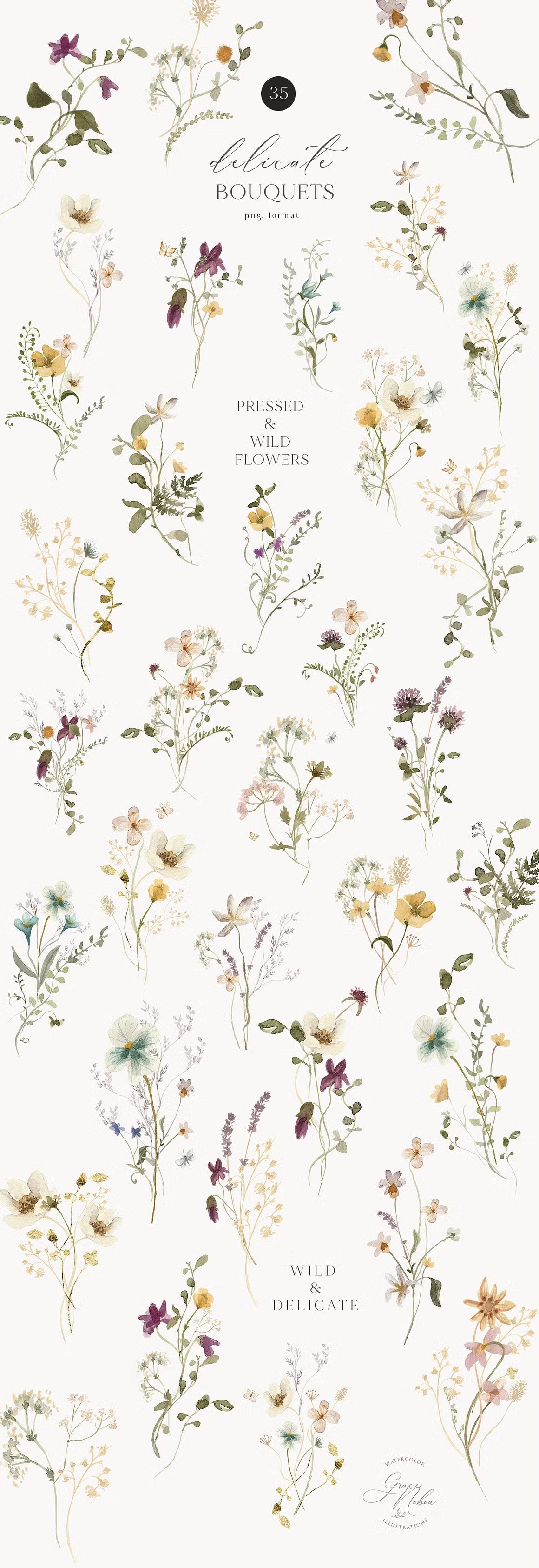 Delicate Stories Wildflowers watercolor flowers clipart