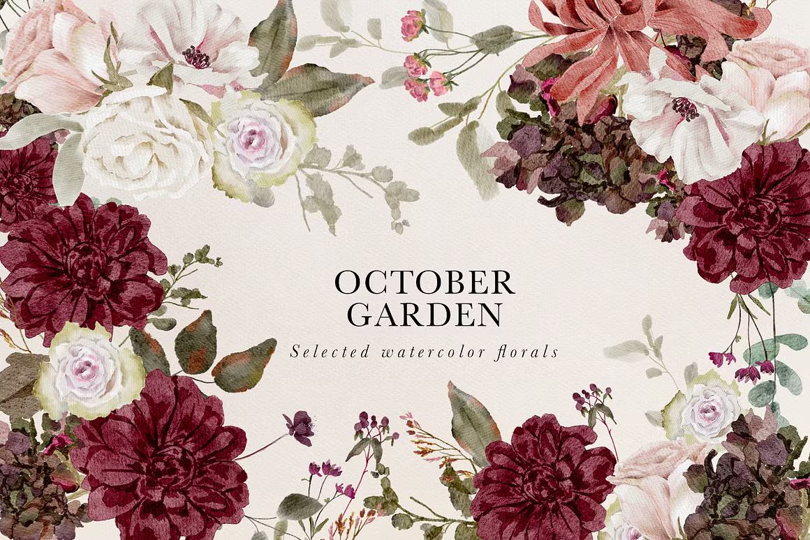 Burgundy & Blush Watercolor autumnal Florals clipart