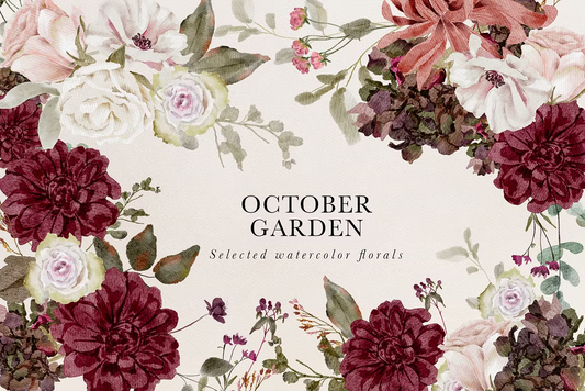 Burgundy & Blush Watercolor autumnal Florals clipart