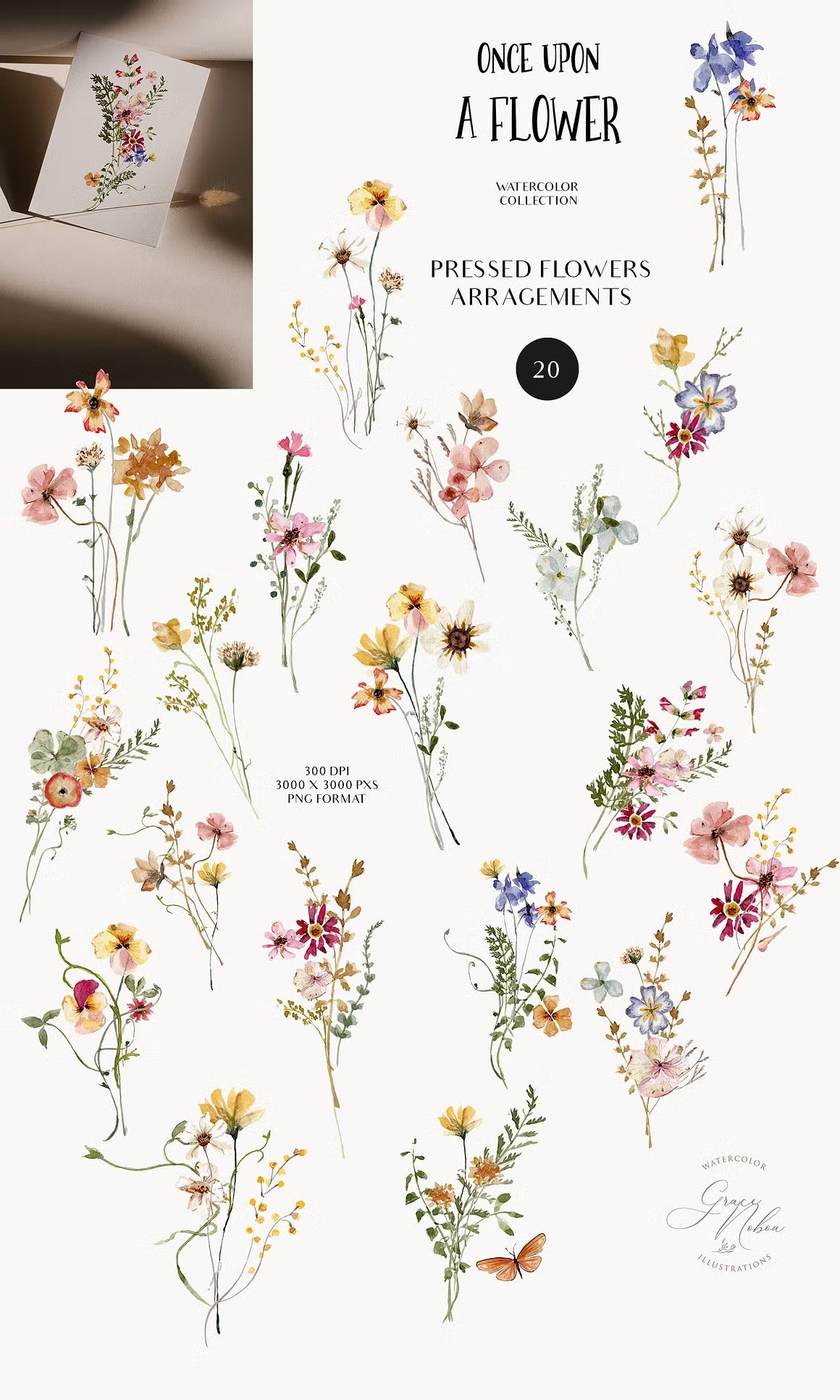 Meadow fairy watercolor dried wildflowers clipart