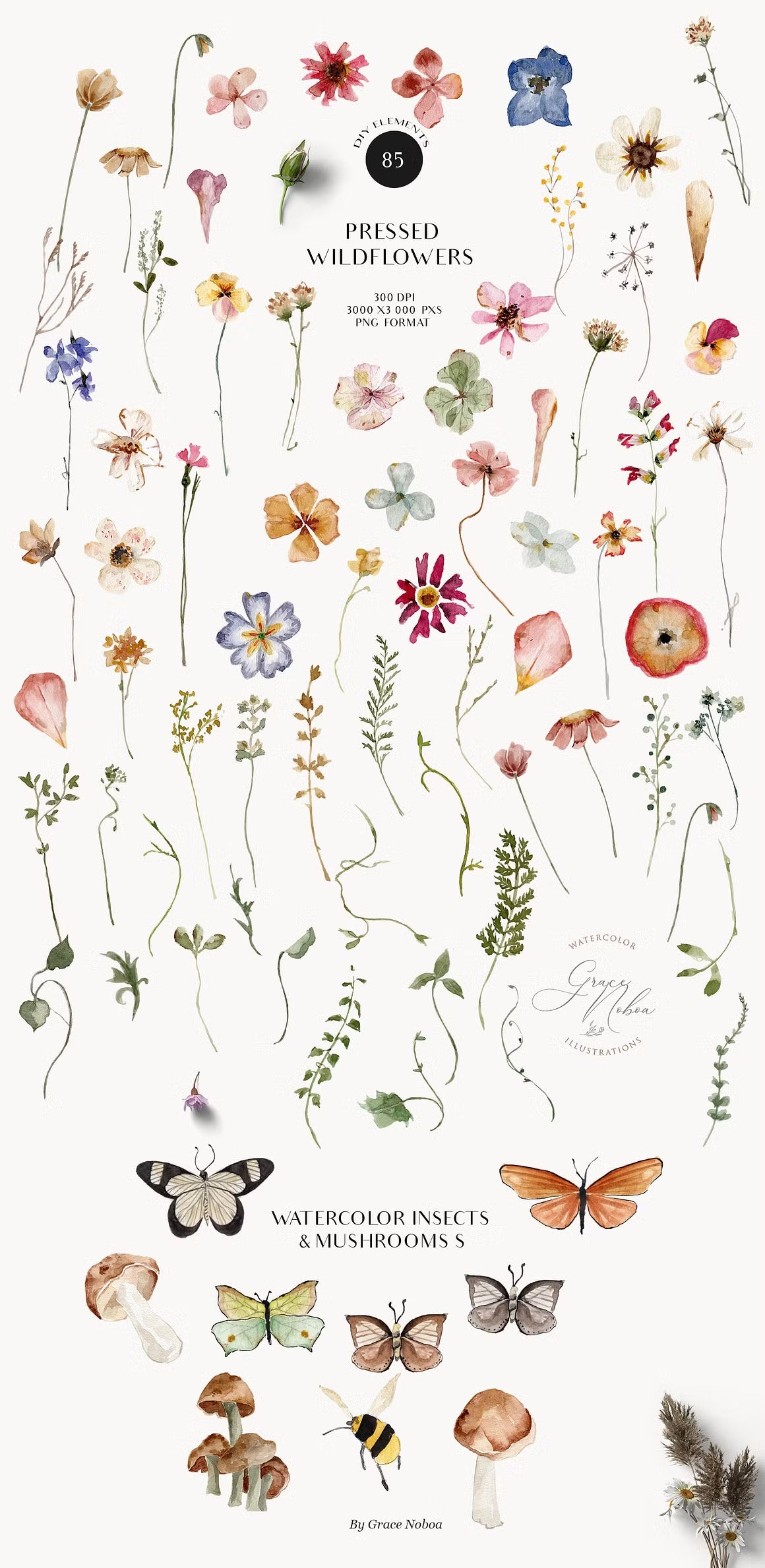 Meadow fairy watercolor dried wildflowers clipart