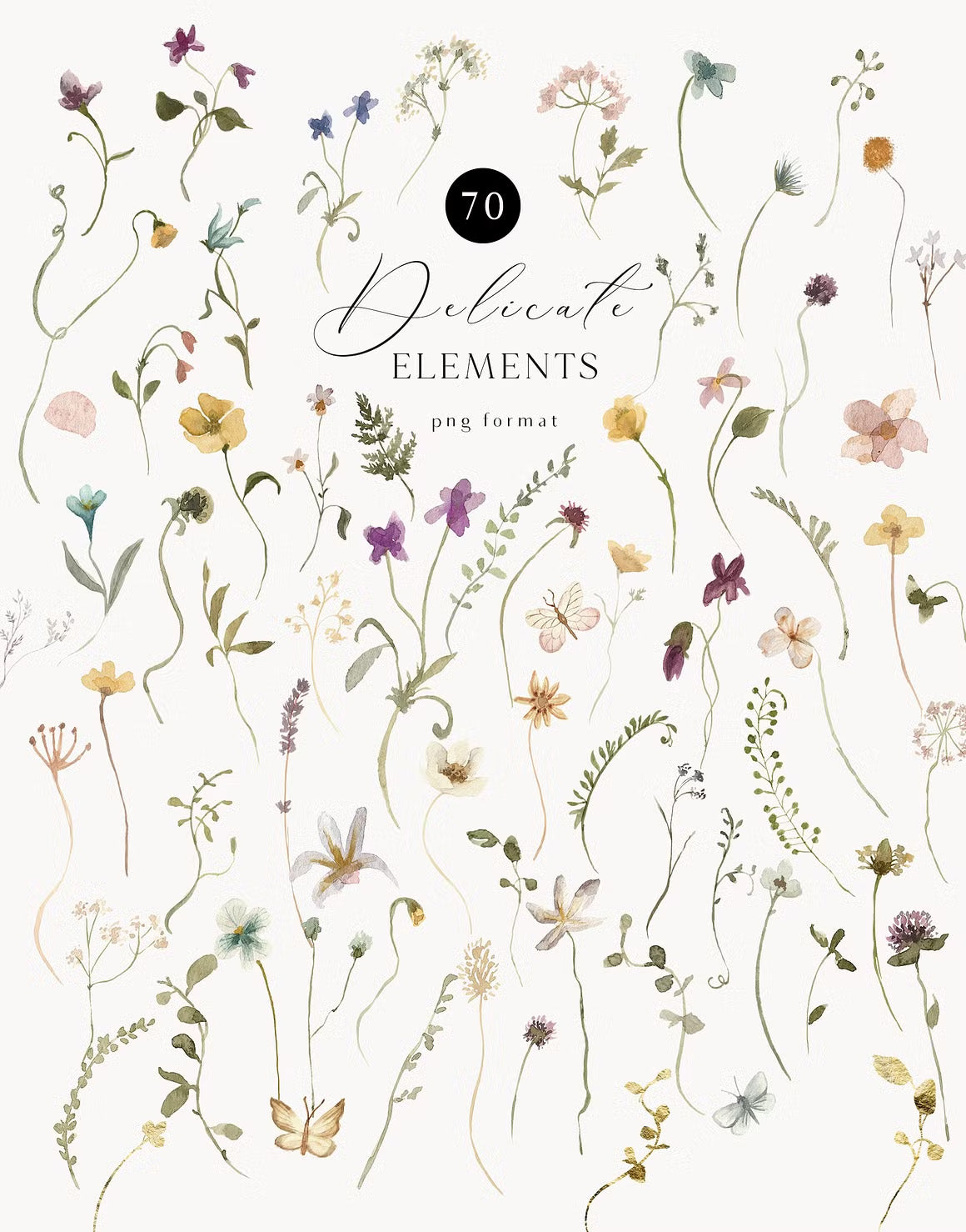 Delicate Stories Wildflowers watercolor flowers clipart
