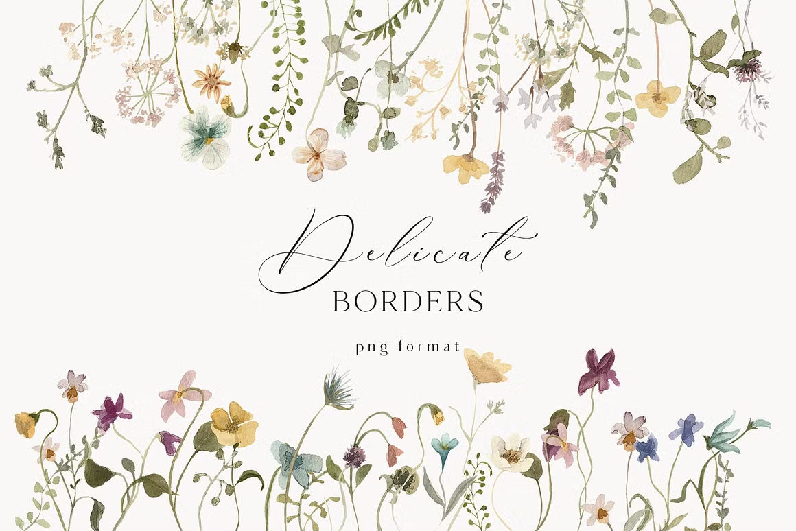Delicate Stories Wildflowers watercolor flowers clipart