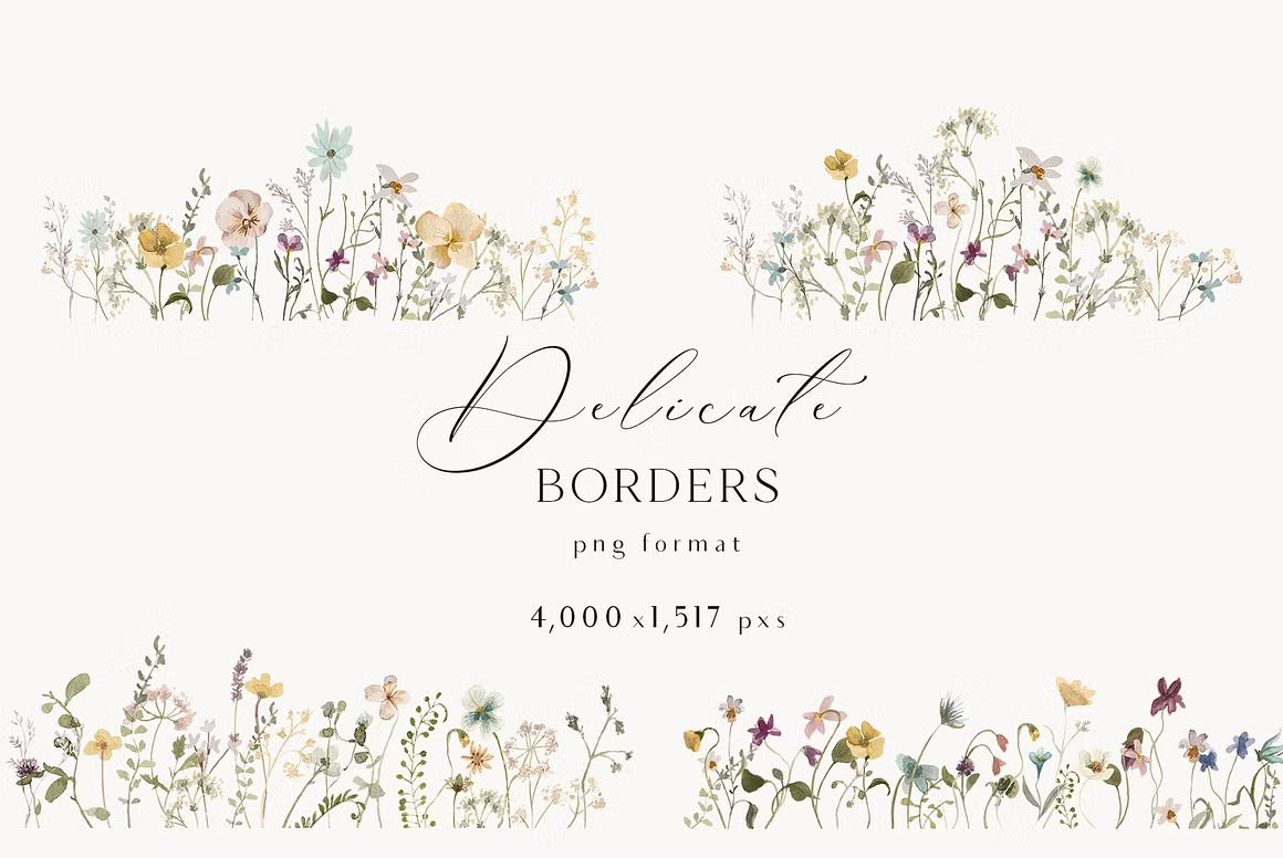 Delicate Stories Wildflowers watercolor flowers clipart