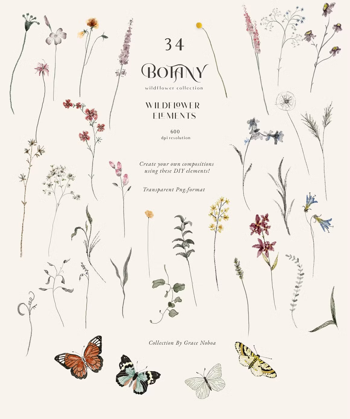 Botanical Wildflower tiny flowers set neutral muted tones clipart