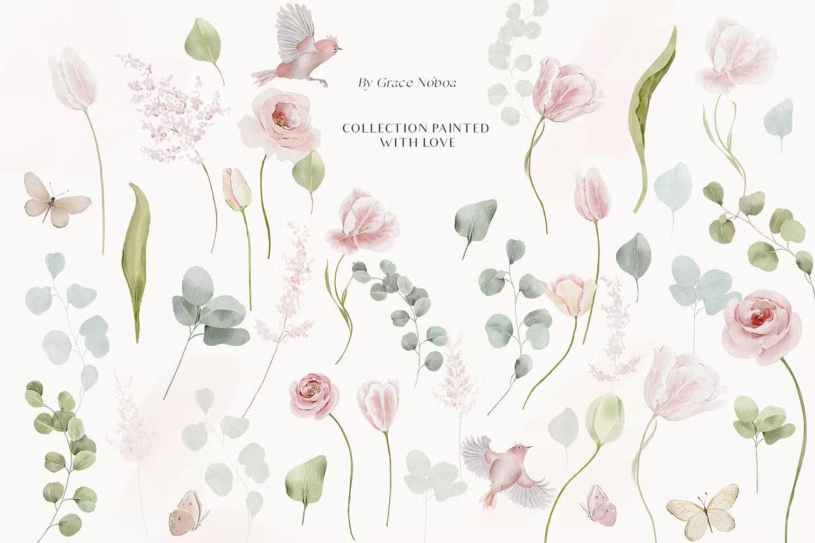 Watercolor pink blush tulips flowers cliaprt
