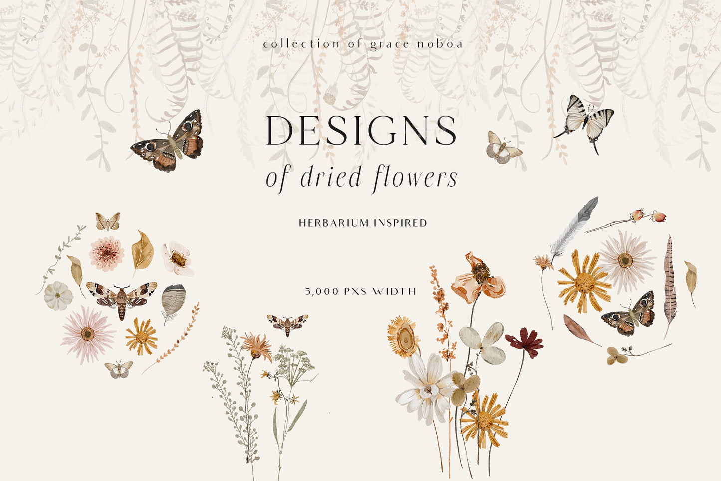 Wildflowers dried flowers watercolor floral clipart