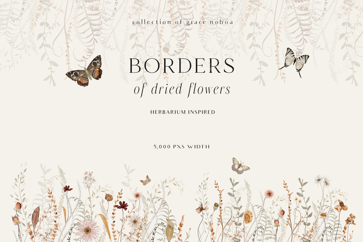 Wildflowers dried flowers watercolor floral clipart