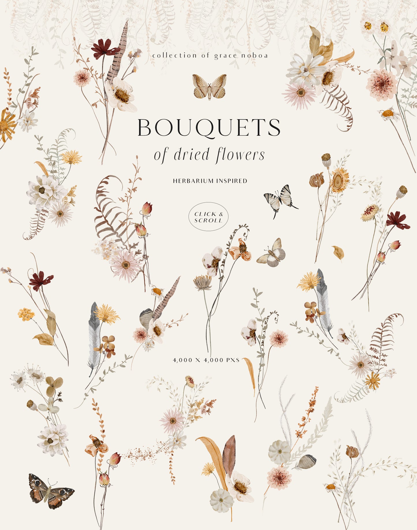 Wildflowers dried flowers watercolor floral clipart