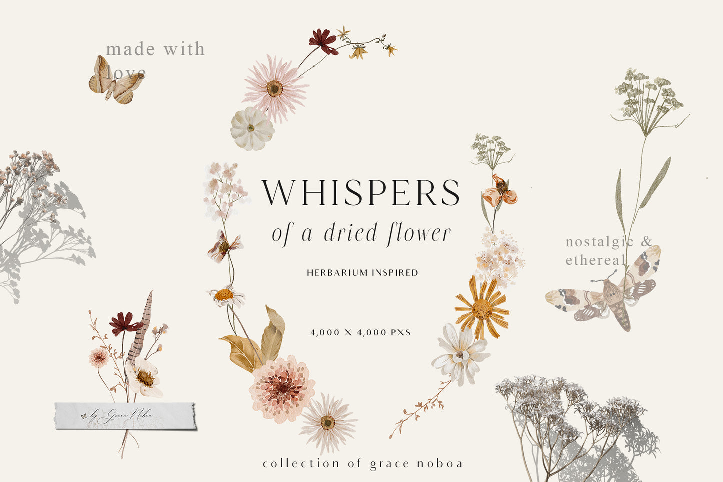 Wildflowers dried flowers watercolor floral clipart