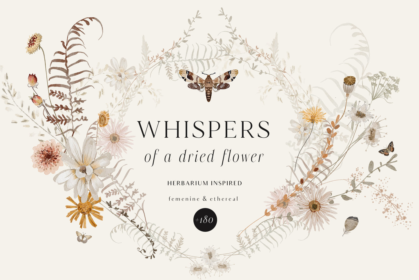 Wildflowers dried flowers watercolor floral clipart