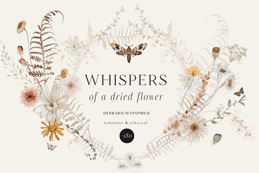 Wildflowers dried flowers watercolor floral clipart