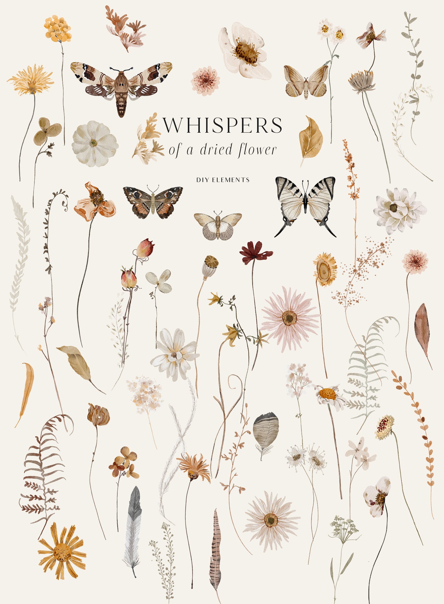Wildflowers dried flowers watercolor floral clipart
