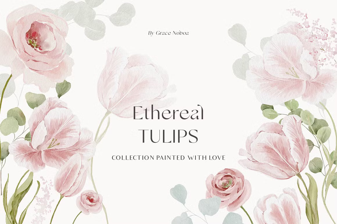 Watercolor pink blush tulips flowers cliaprt