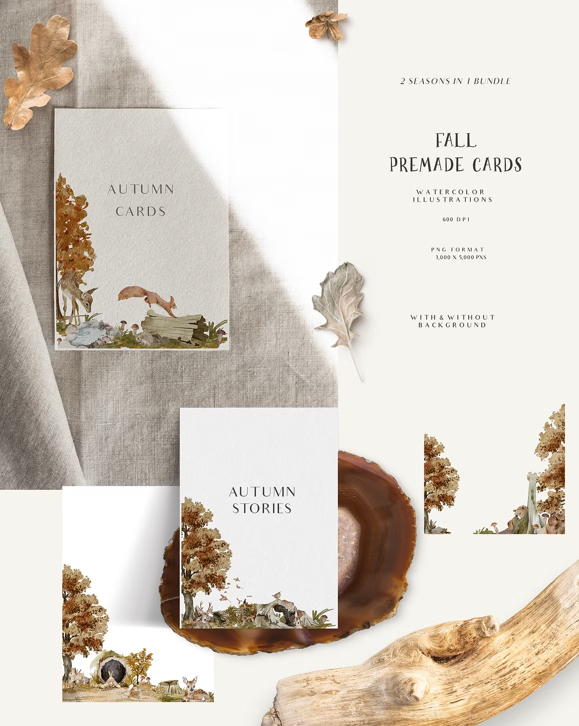 Fall & Winter Woodland Animals set for kids and childrens cliparts