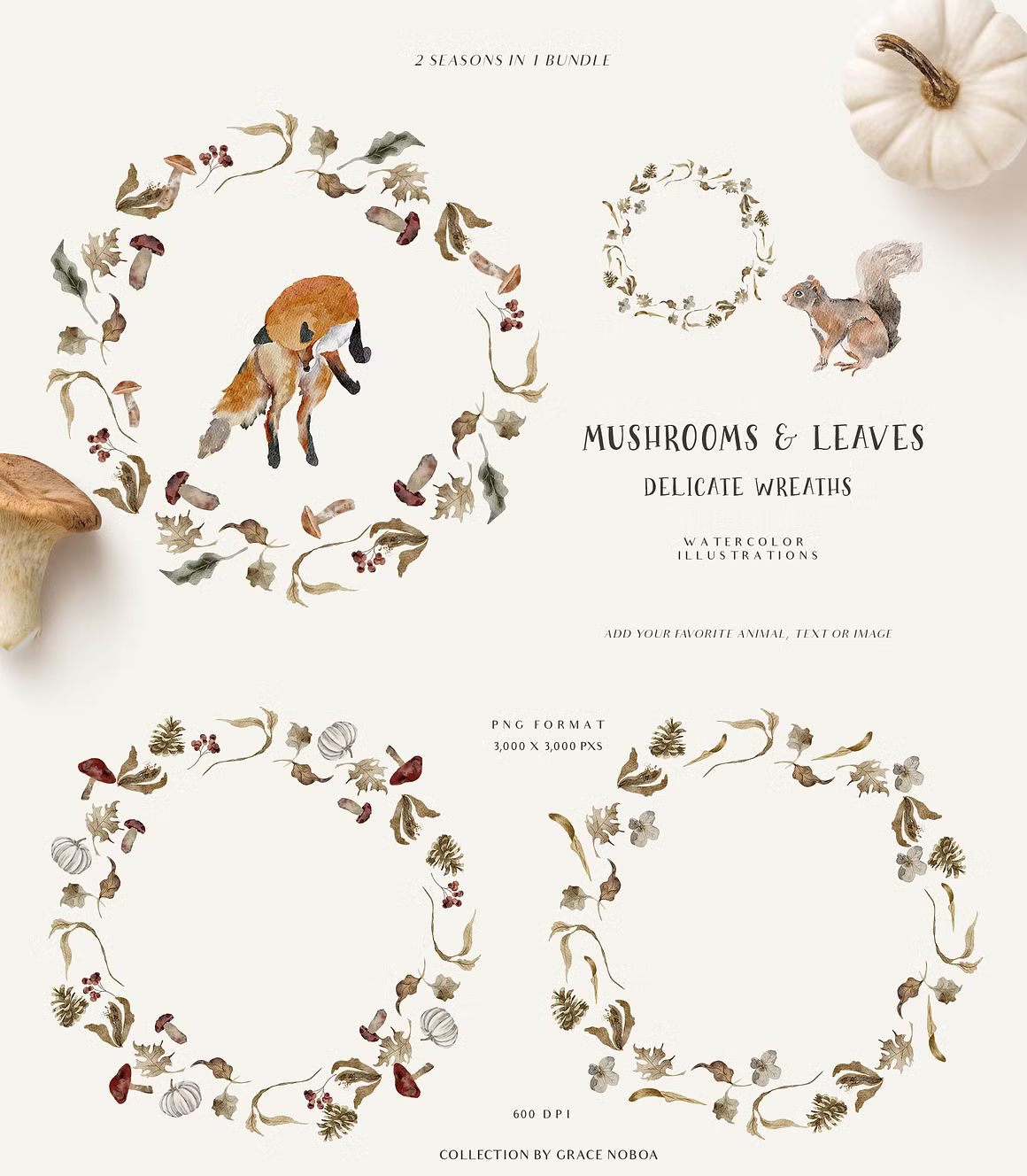 Fall & Winter Woodland Animals set for kids and childrens cliparts