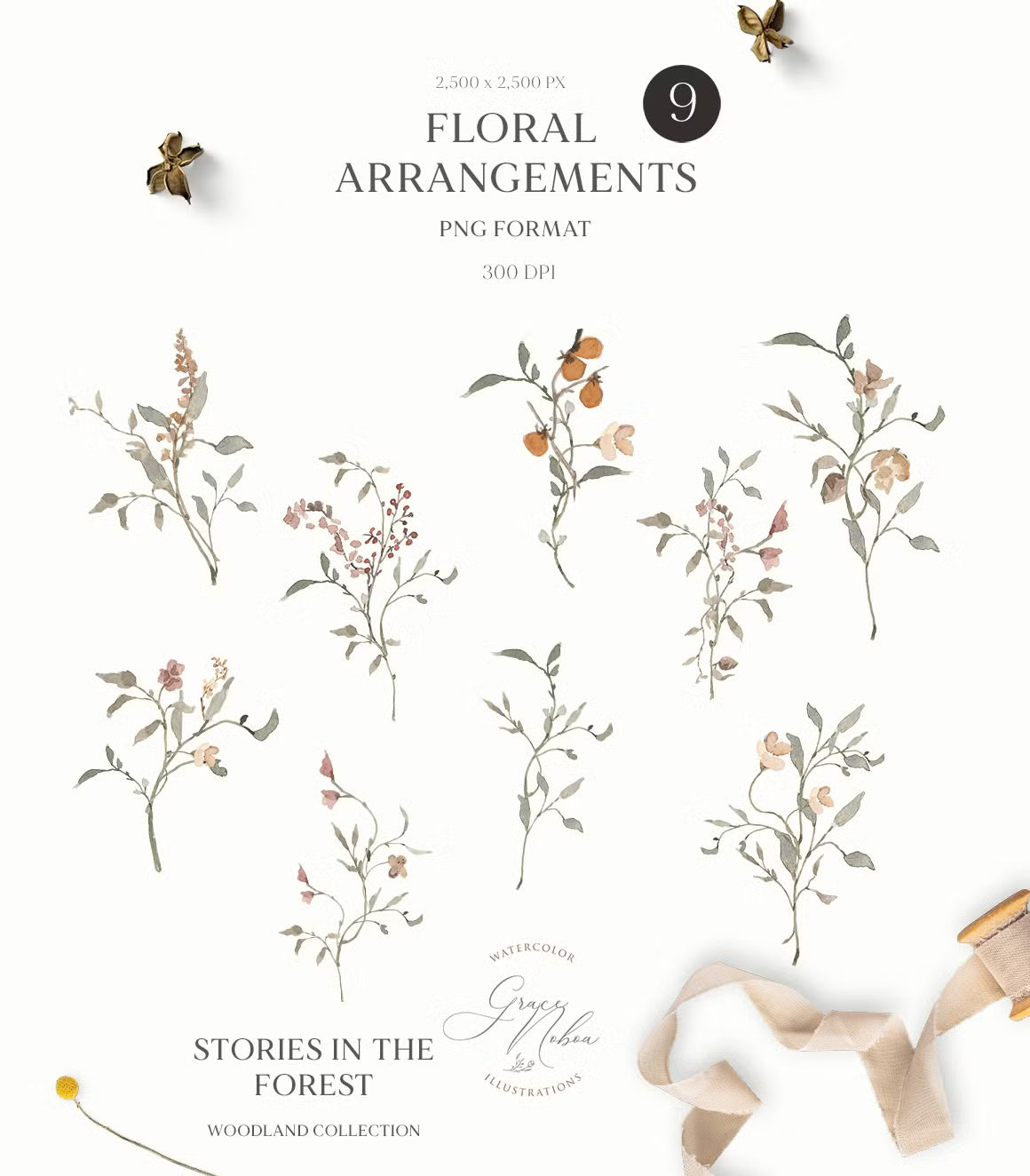 Stories in the Forest Woodland creatures illustrations