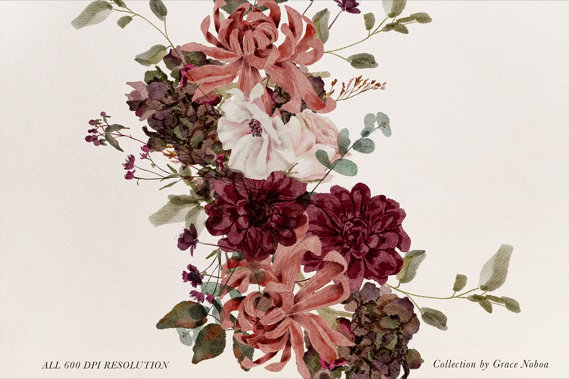 Burgundy & Blush Watercolor autumnal Florals clipart