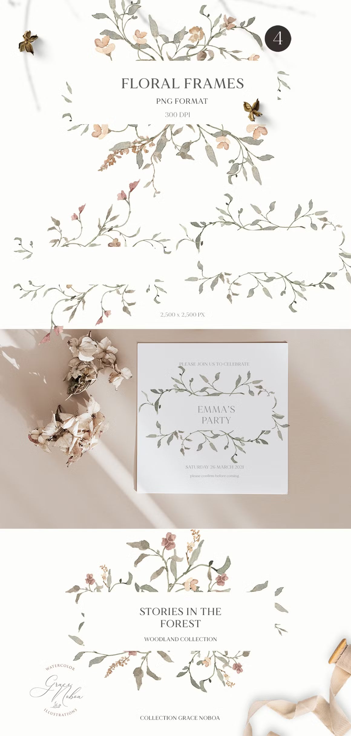 Stories in the Forest Woodland creatures illustrations