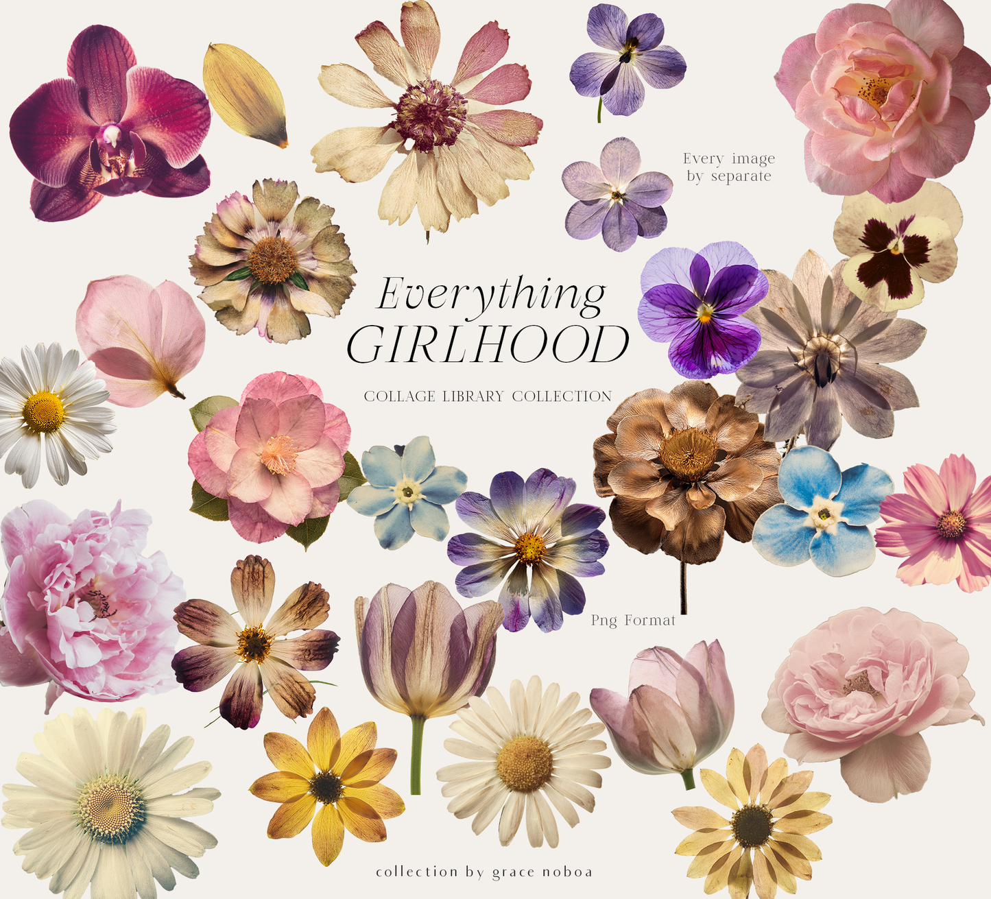 Girlhood collage scrapbook png lace bows