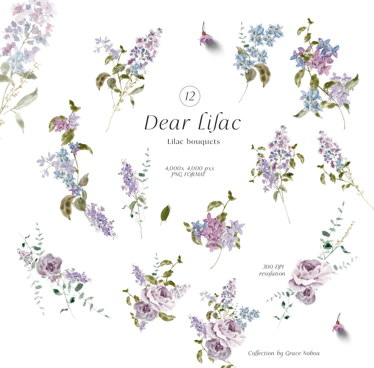 Floral Lilac Watercolor Collection