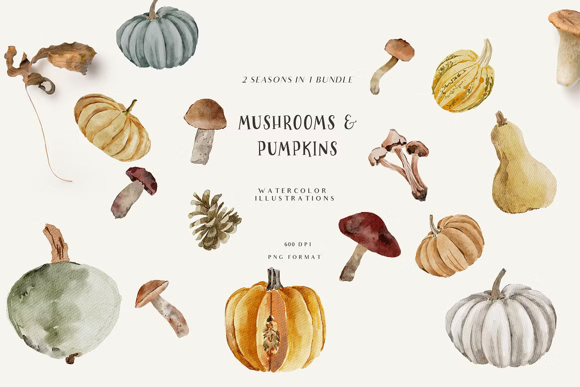 Fall & Winter Woodland Animals set for kids and childrens cliparts