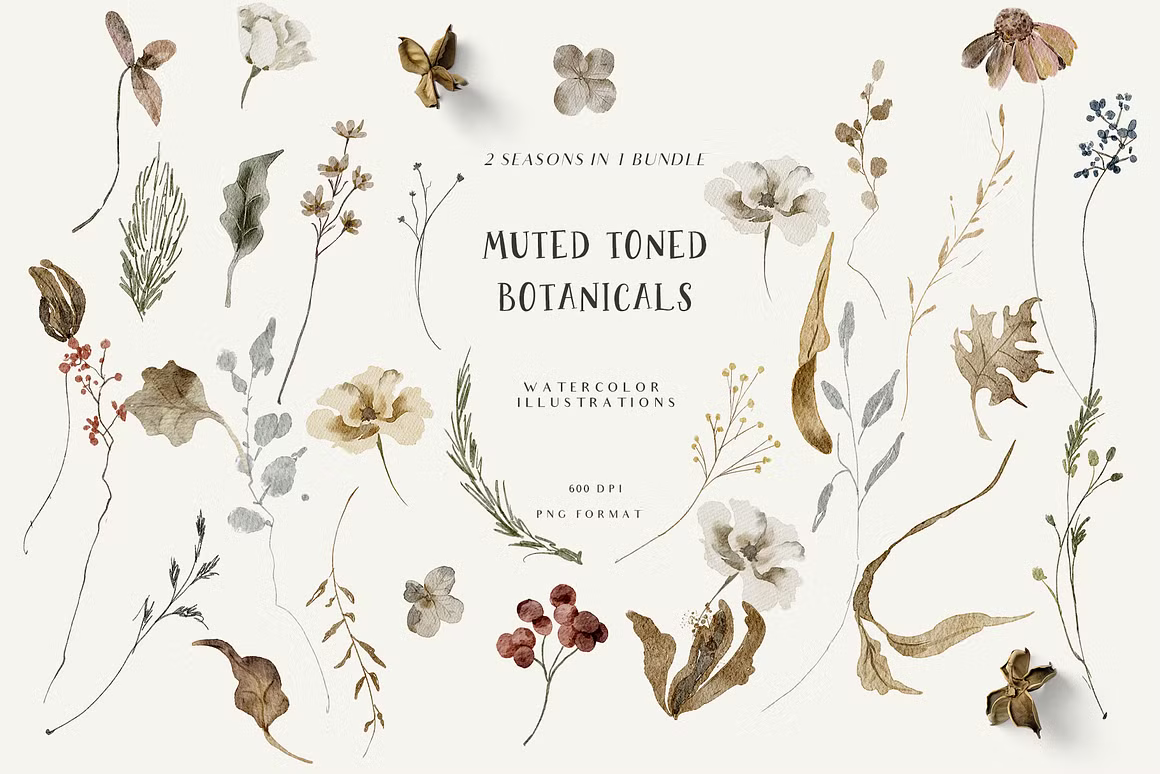 Fall & Winter Woodland Animals set for kids and childrens cliparts