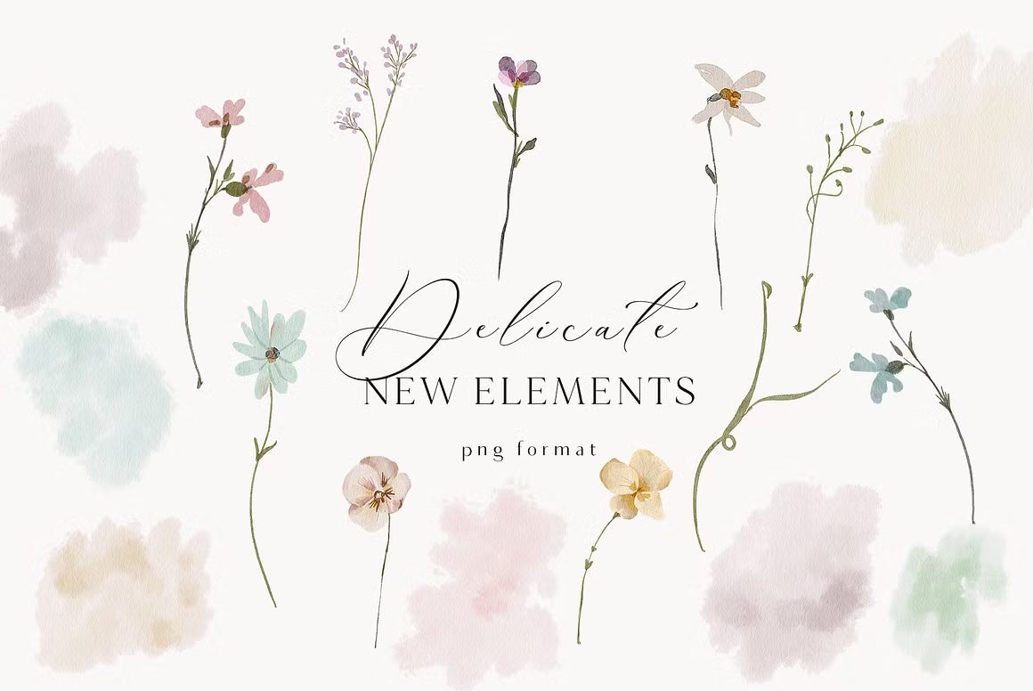 Delicate Stories Wildflowers watercolor flowers clipart