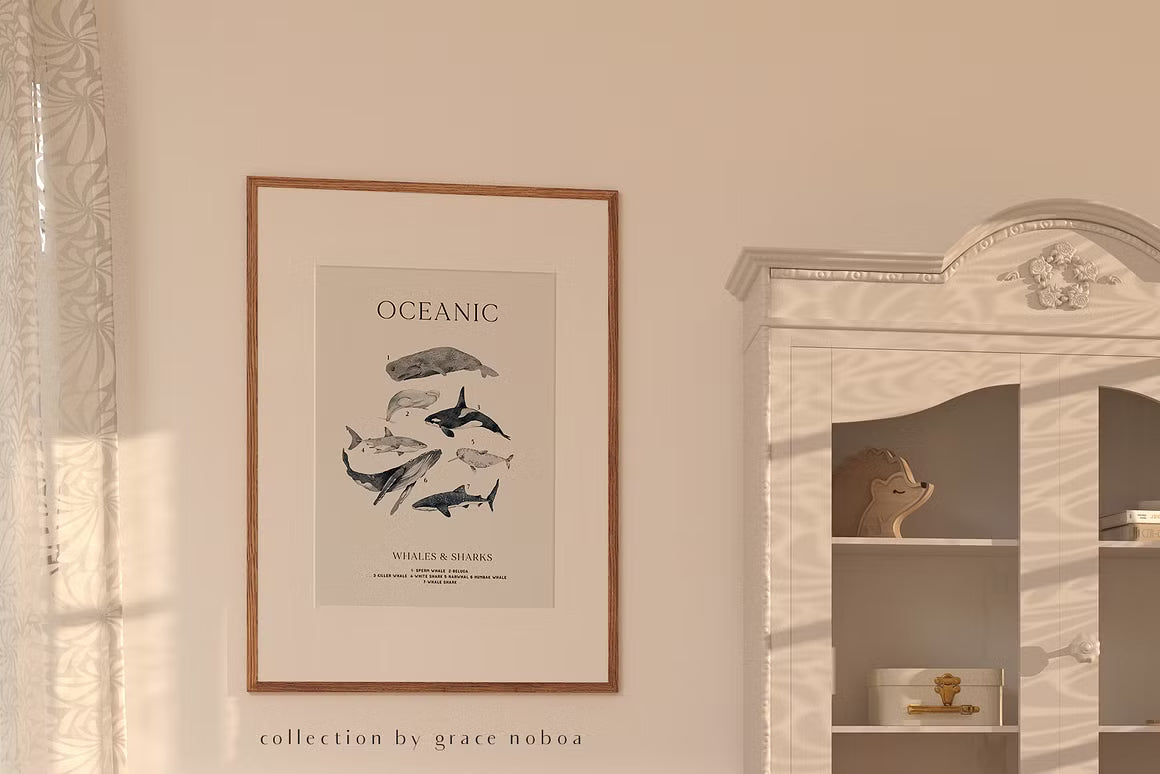 OCEAN Undersea Coral reef animals