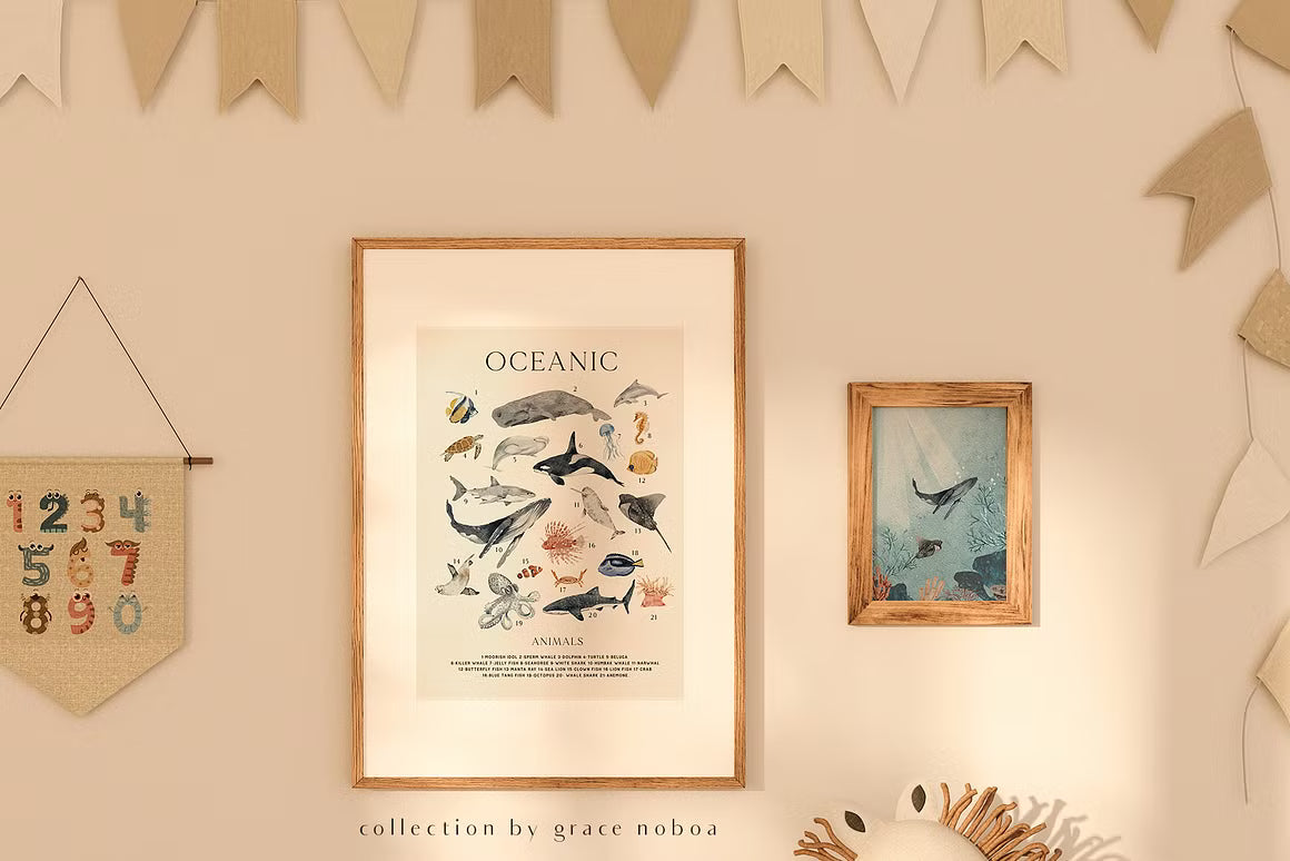 OCEAN Undersea Coral reef animals