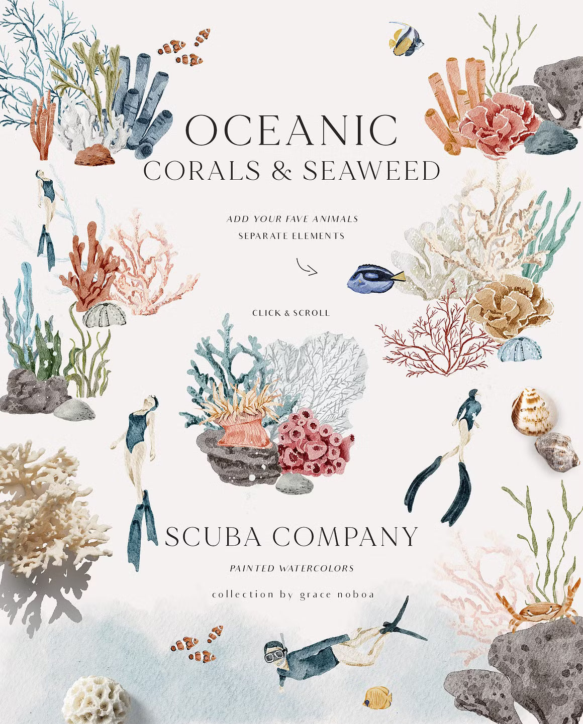 OCEAN Undersea Coral reef animals