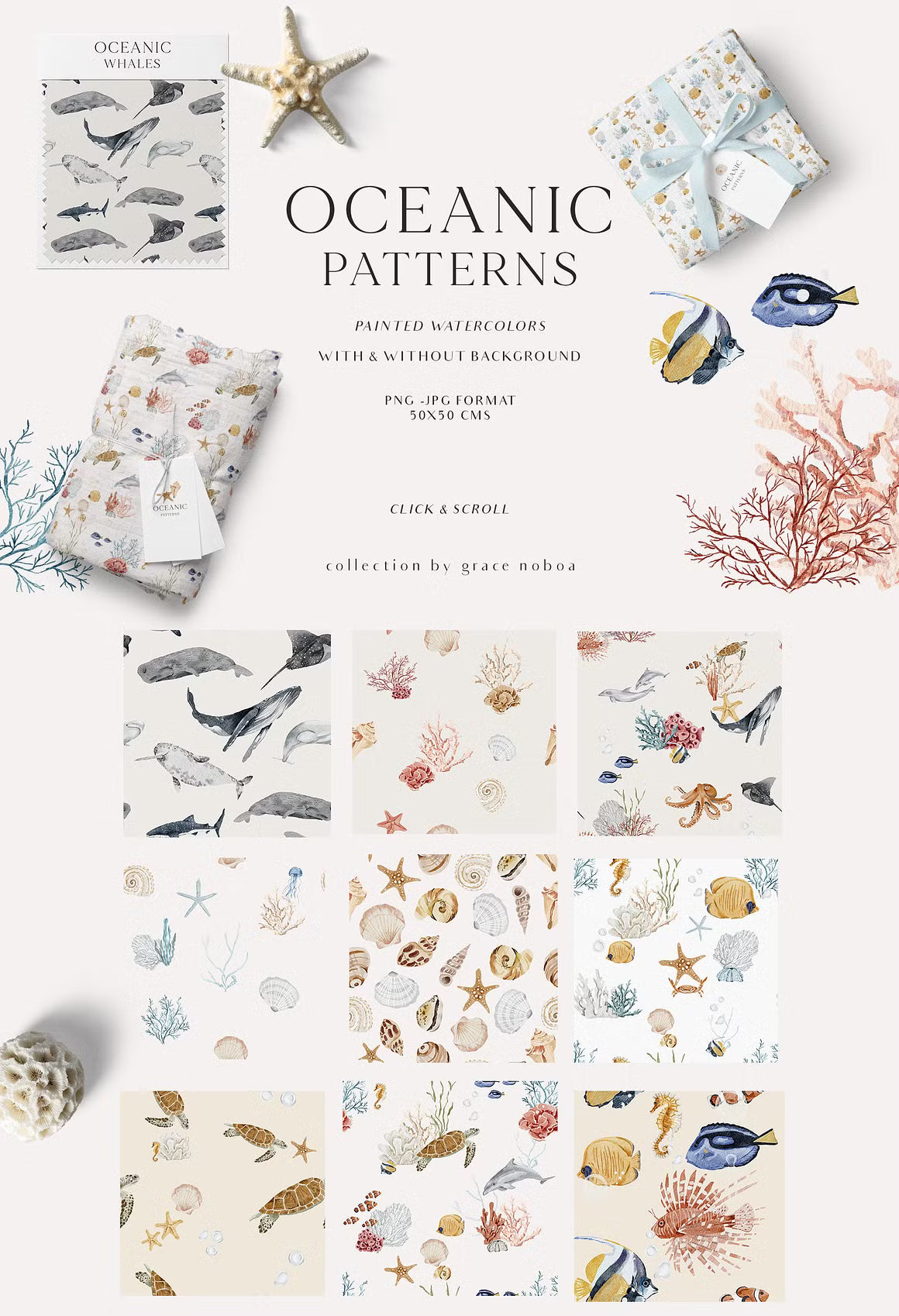 OCEAN Undersea Coral reef animals