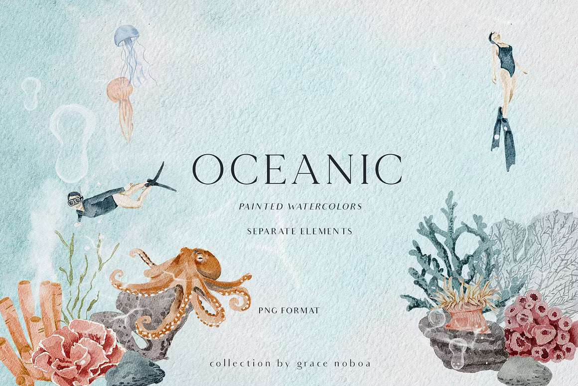 OCEAN Undersea Coral reef animals