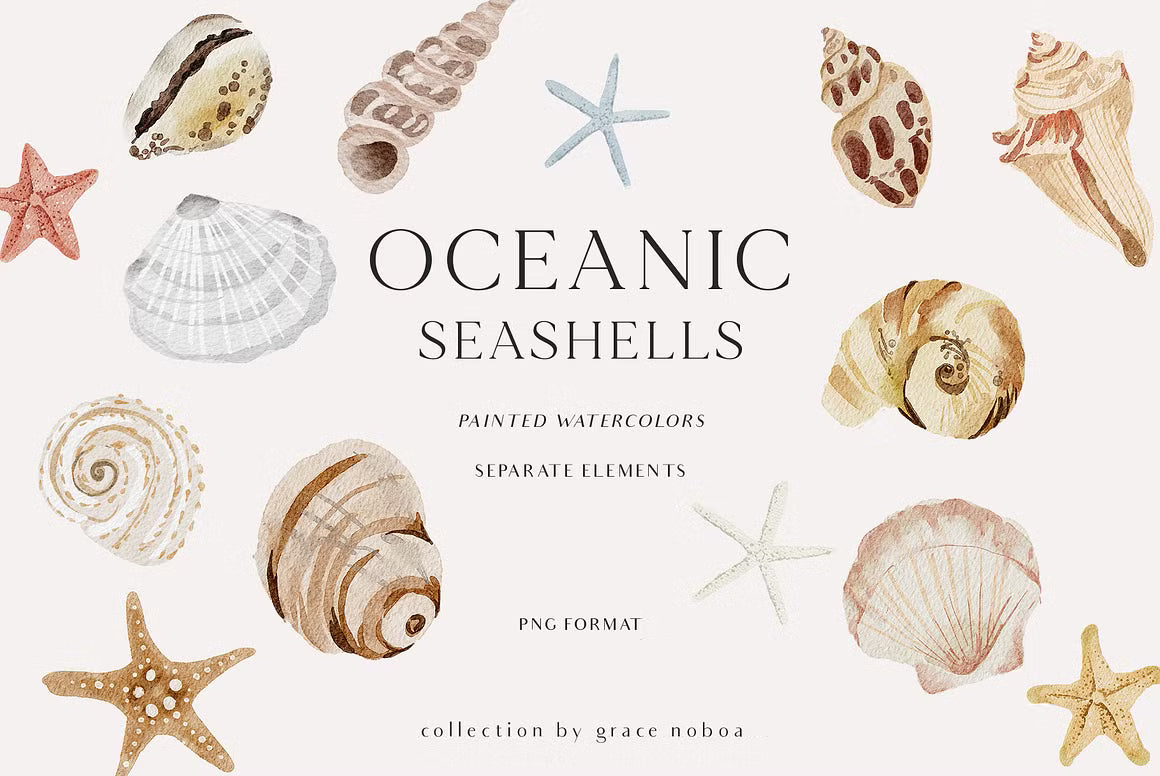 OCEAN Undersea Coral reef animals