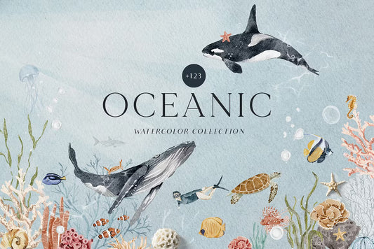 OCEAN Undersea Coral reef animals