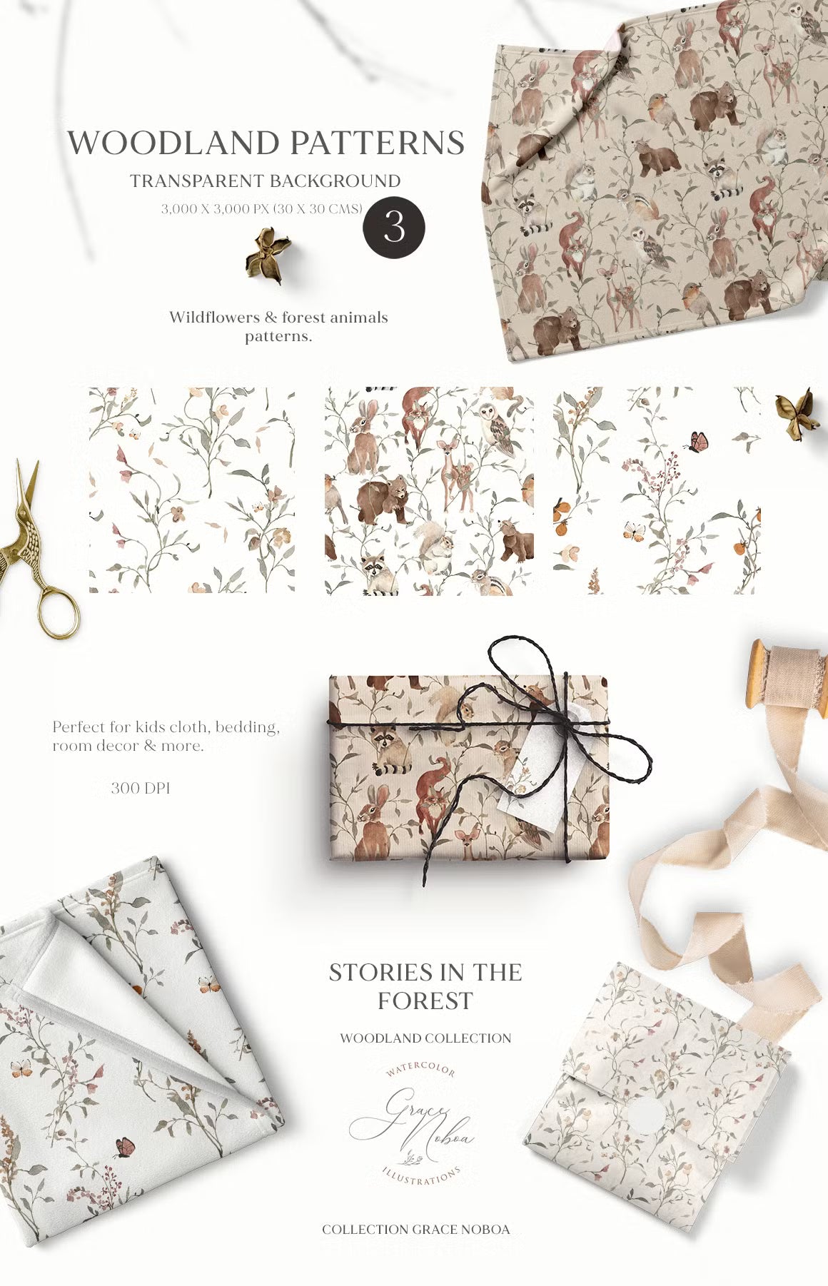 Stories in the Forest Woodland creatures illustrations