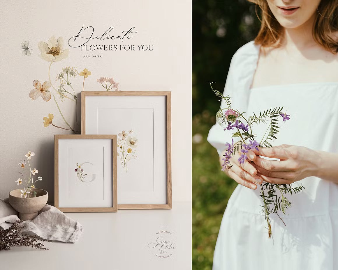 Delicate Stories Wildflowers watercolor flowers clipart